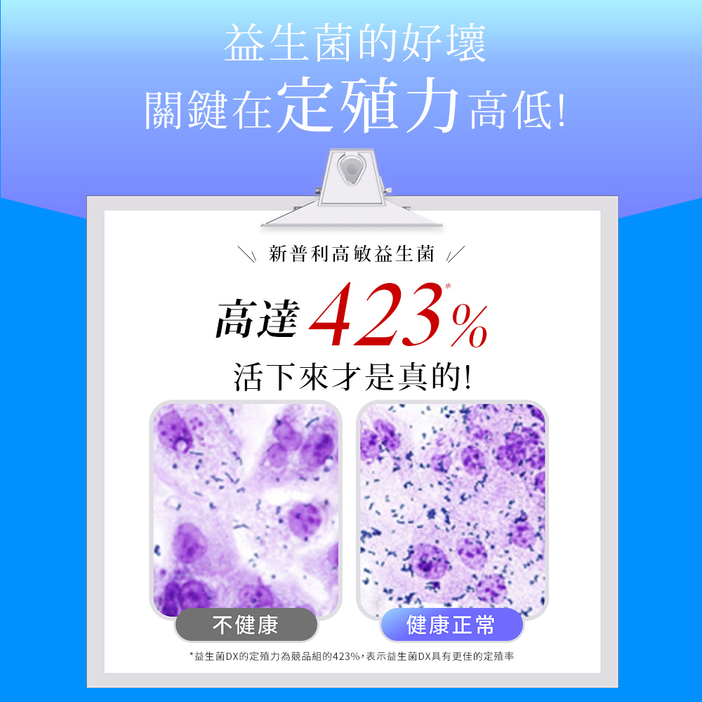 【Simply新普利】日本專利益生菌DX 30包(x3盒) 楊丞琳代言 300億活酵益生菌  孕婦兒童可食_5