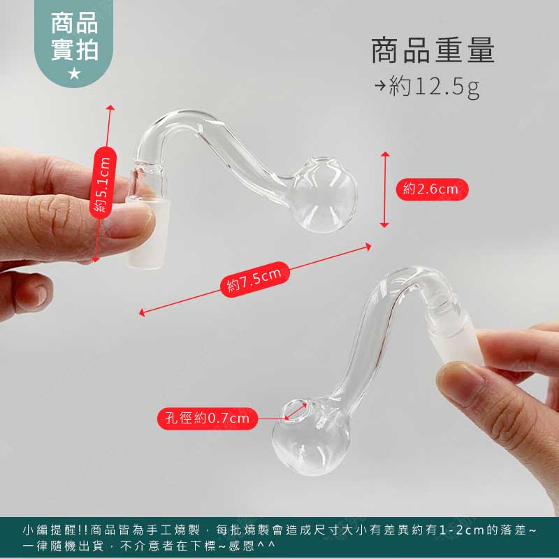 ㊣娃娃研究學苑㊣恐龍造型藝術精品 藝術精品 裝置藝術品 兩用 創意造型 (A460)_3