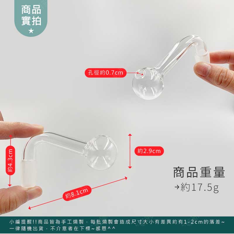 ㊣娃娃研究學苑㊣恐龍造型藝術精品 藝術精品 裝置藝術品 兩用 創意造型 (A460)_4