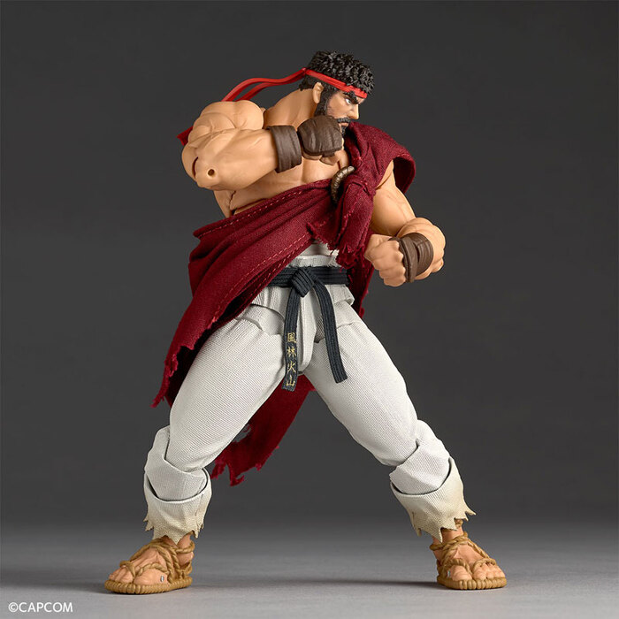 KAIYODO 海洋堂 REVOLTECH 驚奇山口 快打旋風6 隆 可動完成品_0