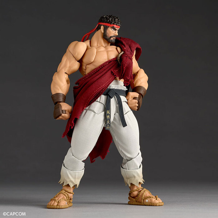 KAIYODO 海洋堂 REVOLTECH 驚奇山口 快打旋風6 隆 可動完成品_1