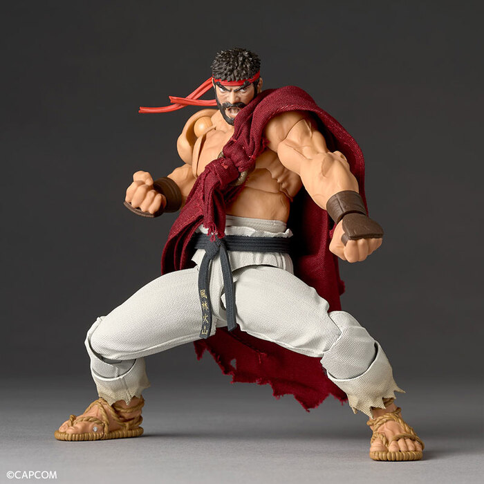 KAIYODO 海洋堂 REVOLTECH 驚奇山口 快打旋風6 隆 可動完成品_6