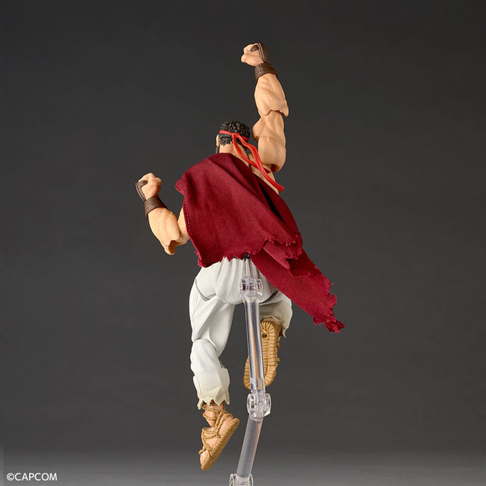 KAIYODO 海洋堂 REVOLTECH 驚奇山口 快打旋風6 隆 可動完成品_8
