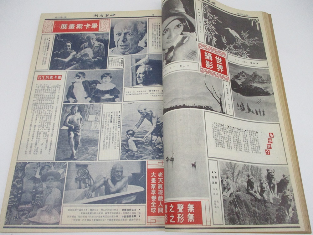 世界畫刊合訂本 民國64年下半年 第735-760期_3