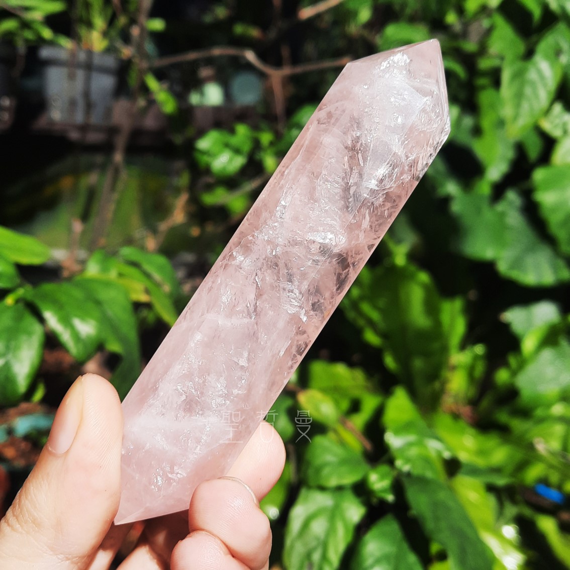 粉晶雙尖療癒棒0129-12號 Rose Quartz/治療棒 ~對應心輪、提升人緣、戀愛運的最佳首選_2