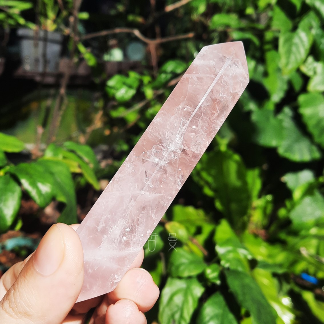 粉晶雙尖療癒棒0129-12號 Rose Quartz/治療棒 ~對應心輪、提升人緣、戀愛運的最佳首選_5