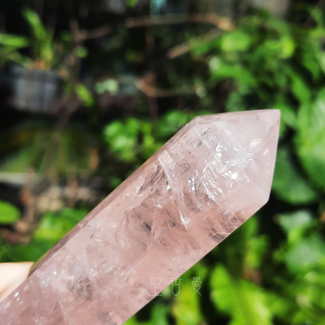 粉晶雙尖療癒棒0129-12號 Rose Quartz/治療棒 ~對應心輪、提升人緣、戀愛運的最佳首選_6