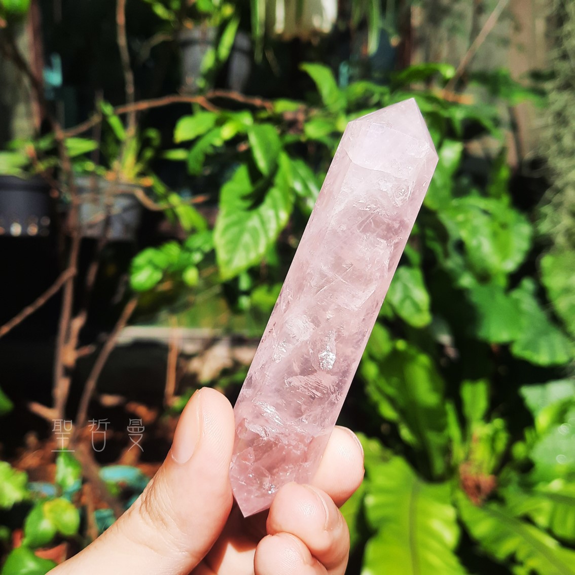 粉晶雙尖療癒棒0129-17號 Rose Quartz/治療棒 ~對應心輪、提升人緣、戀愛運的最佳首選_1