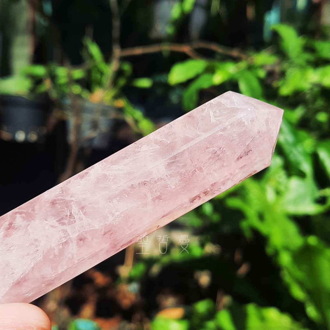 粉晶雙尖療癒棒0129-17號 Rose Quartz/治療棒 ~對應心輪、提升人緣、戀愛運的最佳首選_7