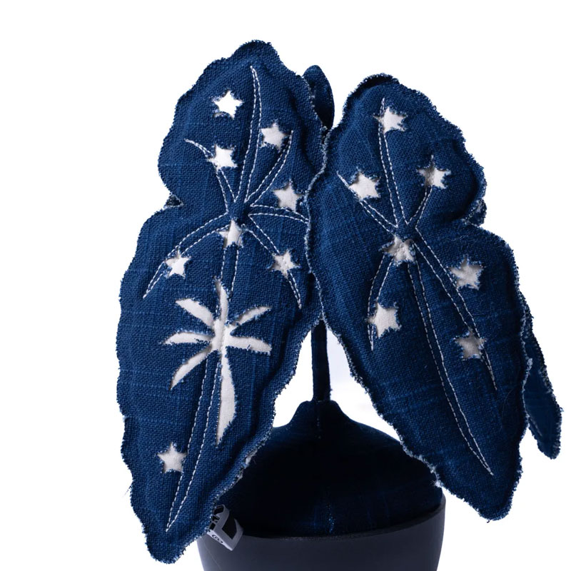 【HAKKEI 白景】HSSBD25-219 SASHIKO STELLARLUNE BEGONIA DOJI 刺子織星月海棠豆吉 布植物_4