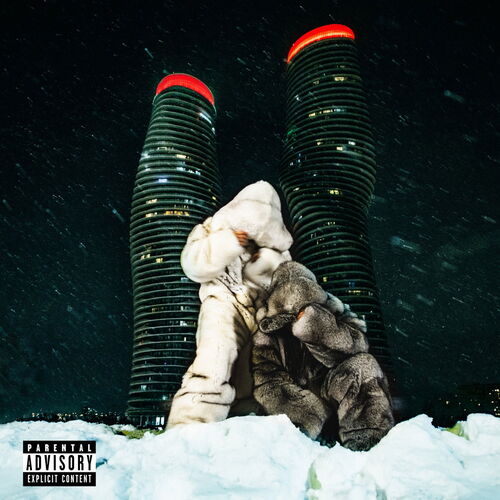 Drake and PARTYNEXTDOOR - $ome $exy $ongs 4 U (2LP彩膠唱片)_0