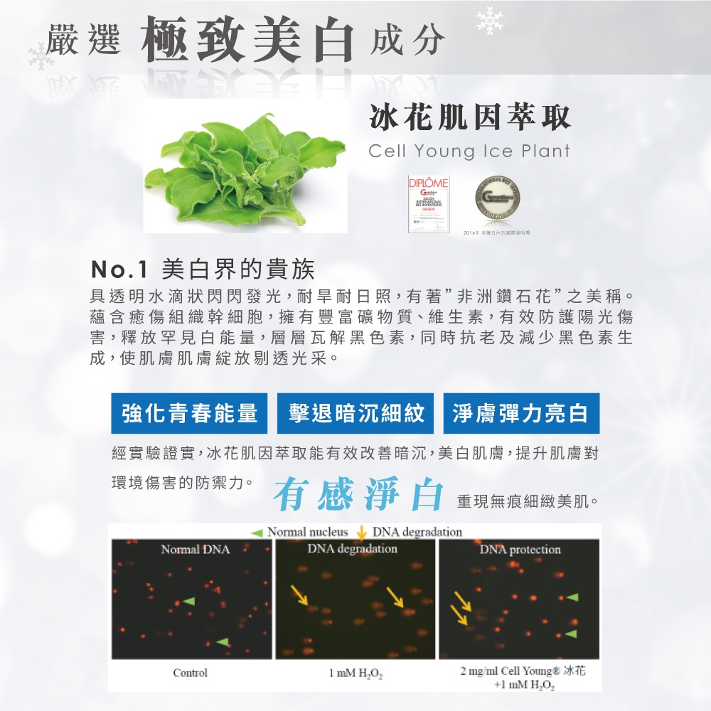 光感雪鑽組〈全能肌萃30ml*1+鑽白凝乳30ml*1+冰花生物纖維面膜3片〉_6