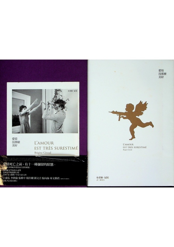 愛情沒那麼美好／布希姬．紀侯（Brigitte Giraud）　著　陳蓁美　譯_0