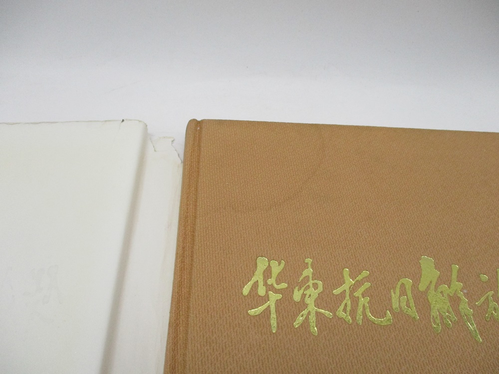 華東抗日解放戰爭攝影集_7