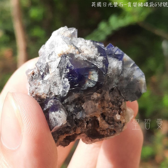 土桑精選:英國日光螢石-貪婪豬礦袋G38號_0