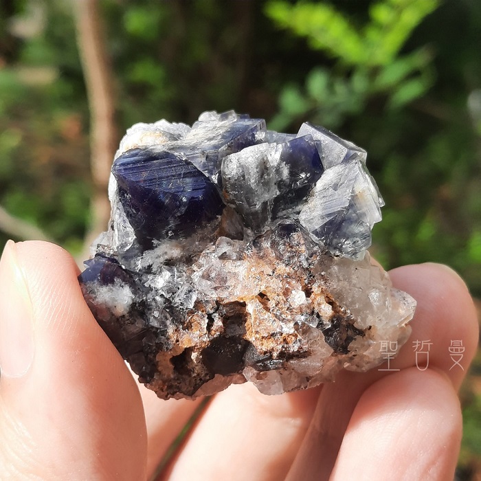 土桑精選:英國日光螢石-貪婪豬礦袋G38號_2