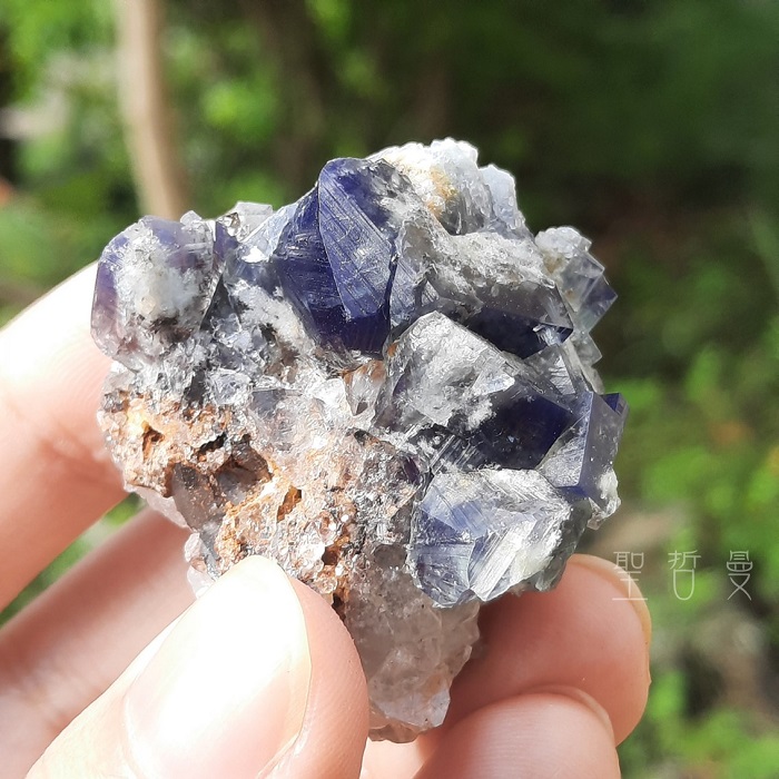 土桑精選:英國日光螢石-貪婪豬礦袋G38號_7