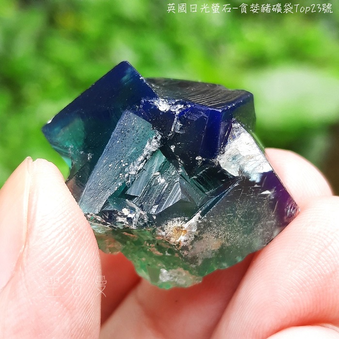 土桑精選:英國日光螢石-貪婪豬礦袋Top23號_0