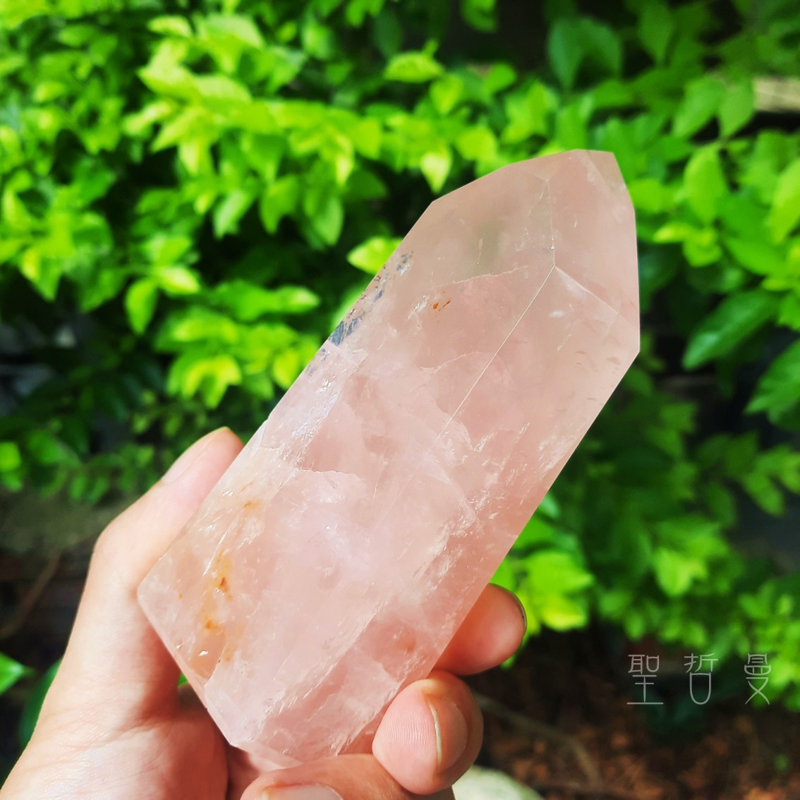 土桑精品：粉晶黃金療癒者25-3號 巴西 晶柱/風水石 ~喜悅，基督意識，平衡陰陽，疏通堵塞能量_2
