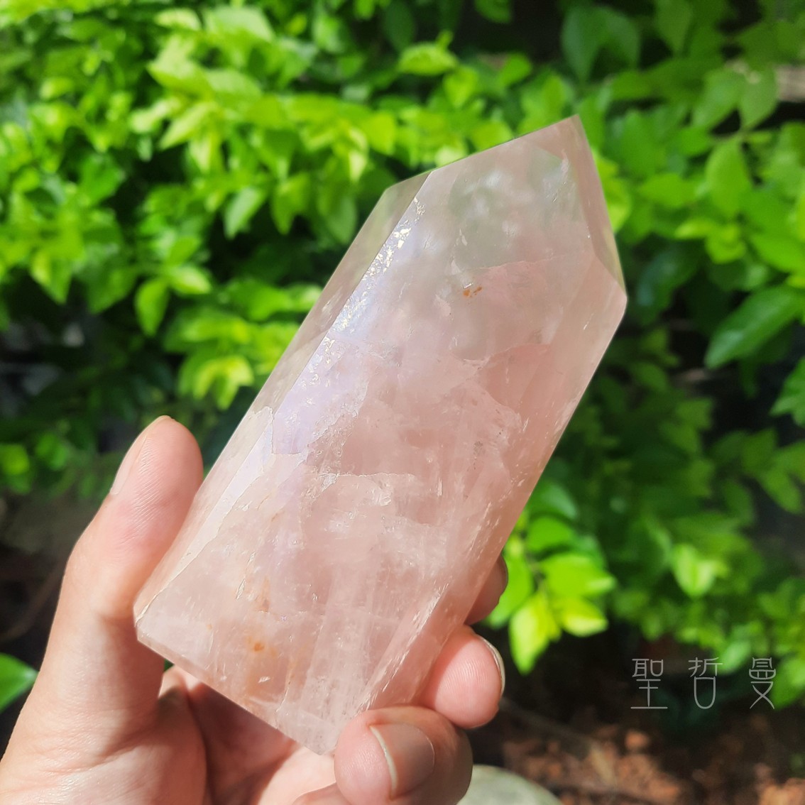 土桑精品：粉晶黃金療癒者25-3號 巴西 晶柱/風水石 ~喜悅，基督意識，平衡陰陽，疏通堵塞能量_5