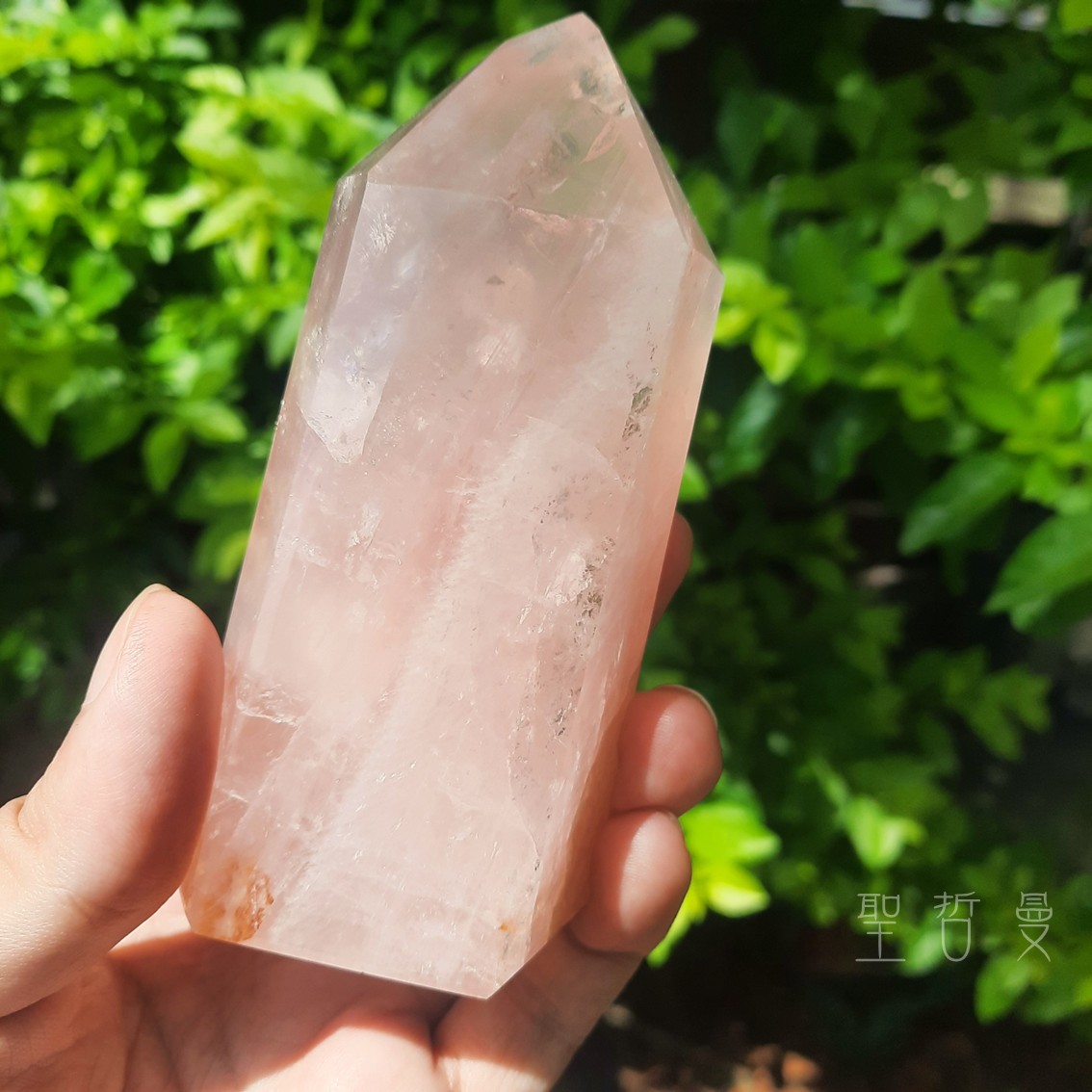 土桑精品：粉晶黃金療癒者25-3號 巴西 晶柱/風水石 ~喜悅，基督意識，平衡陰陽，疏通堵塞能量_6