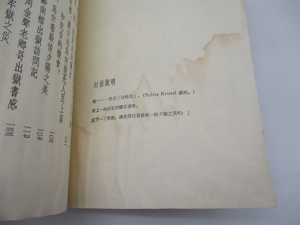 萬歲評論叢書39 肚皮‧肚皮‧一肚皮--1987年2月初版／李敖 李世傑 向青 曾心儀 等著_3