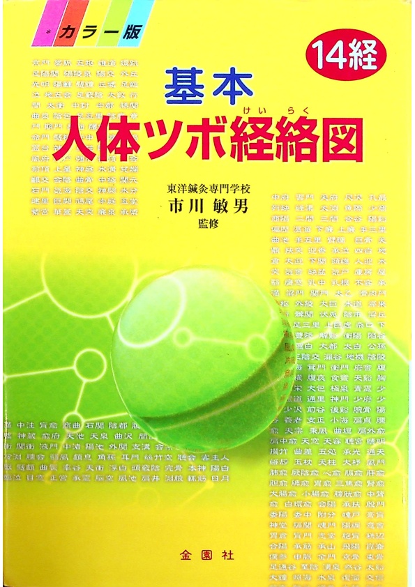 基本人体ツボ経絡図―14経／市川敏男_0