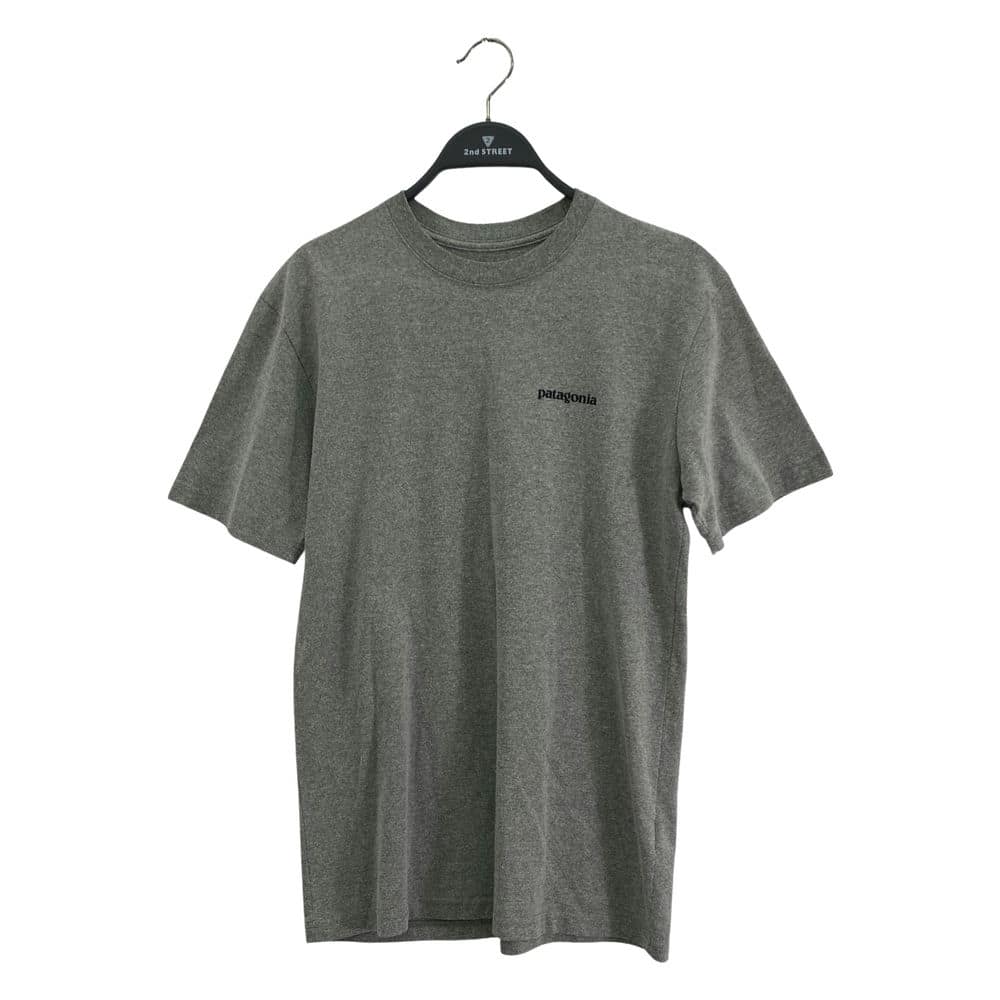 【台中一中店】patagonia/T恤//39174FA18