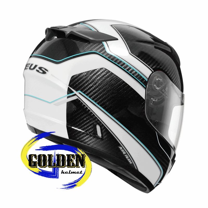 ZEUS 1200E N41原色碳纖/白 碳纖維全罩安全帽 (內藏墨鏡)_1