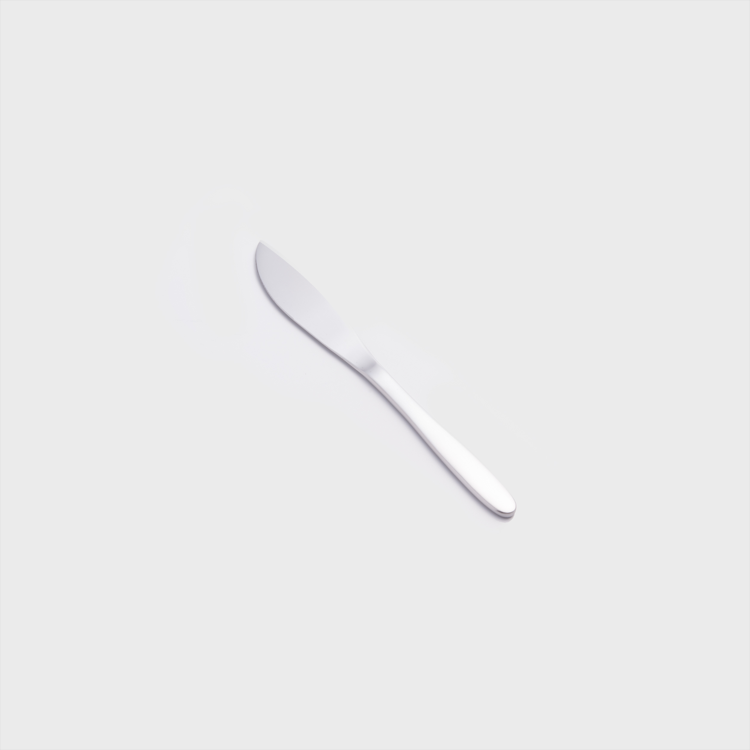 日式 極簡樸風 21.5cm 不銹鋼主餐刀│霧銀│單品_1