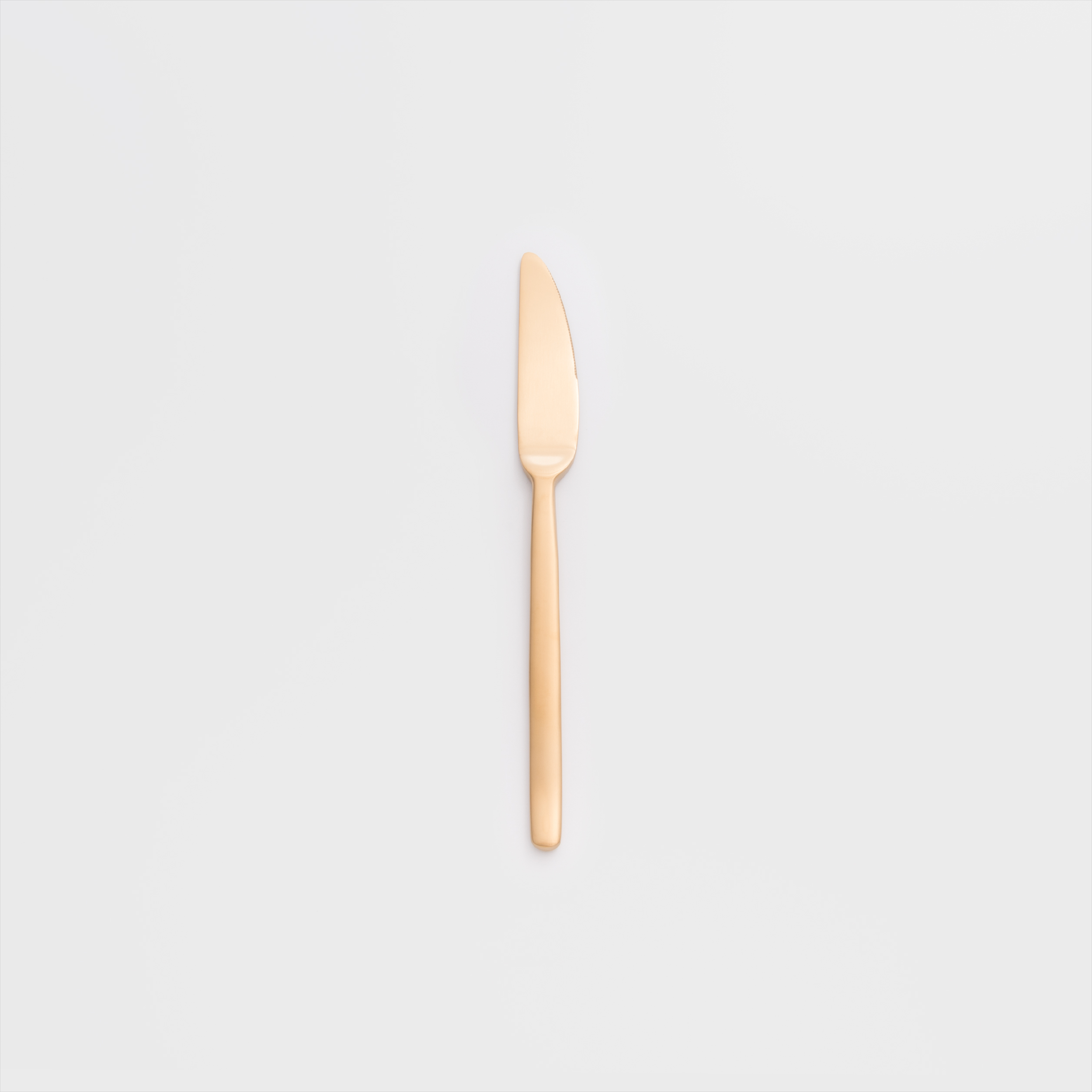 歐式 簡約潮流 22.8cm 不銹鋼主餐刀│霧金│單品_0