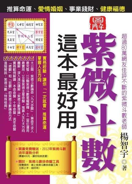 紫微斗術這本最好用：推算命運、愛情婚姻 | 拾書所