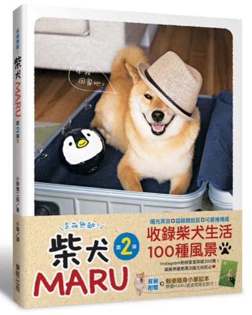 呆萌無敵！ 柴犬MARU　第2彈！！ | 拾書所