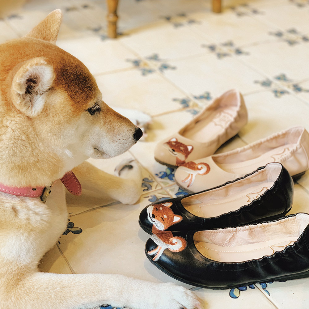恭喜發柴 柴犬繡線芭蕾舞鞋_3