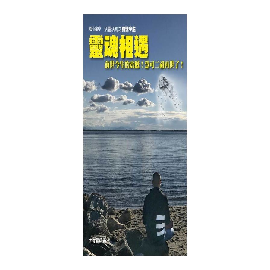 靈魂相遇－活靈活現之前世今生 | 拾書所