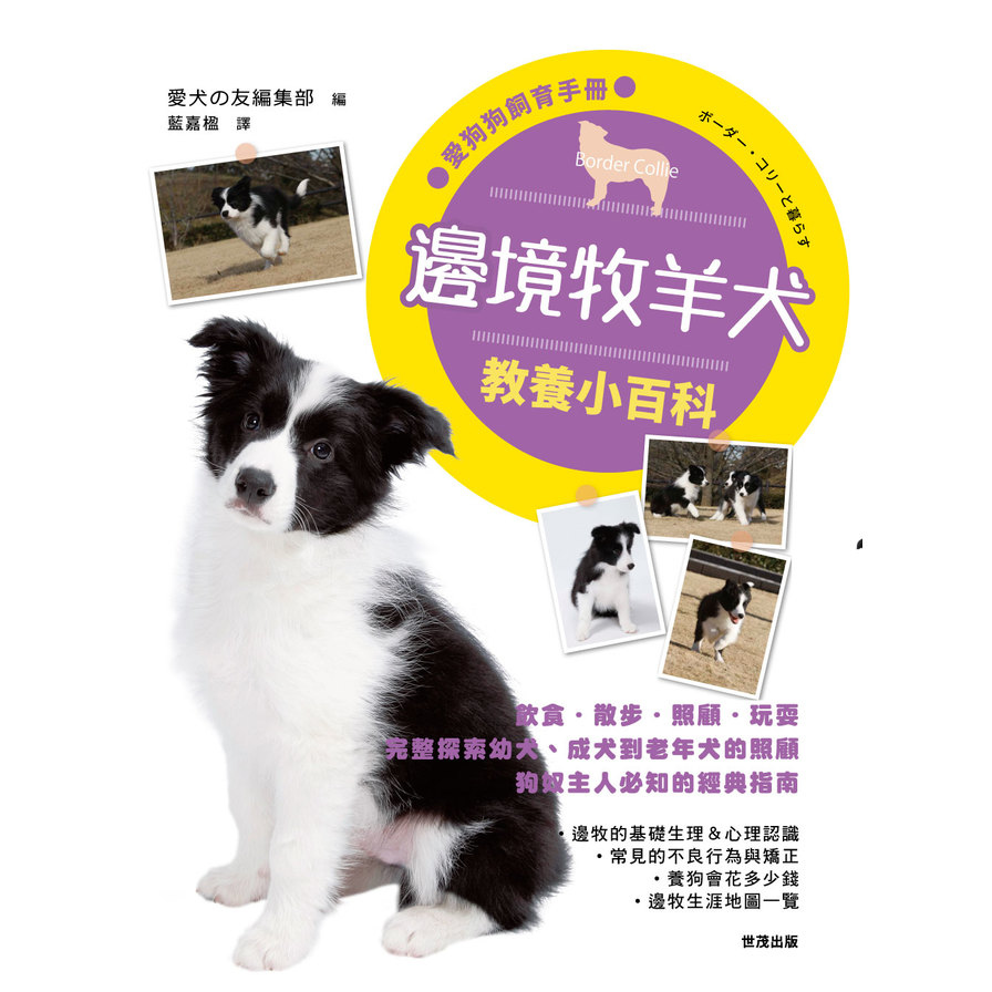 邊境牧羊犬教養小百科 | 拾書所