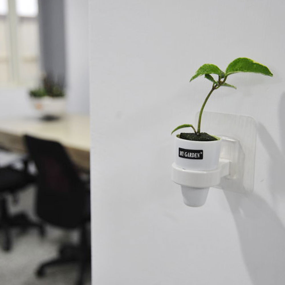 療癒植物容器壁貼式 水耕植物杯 Dy522 倆寶貝精品館