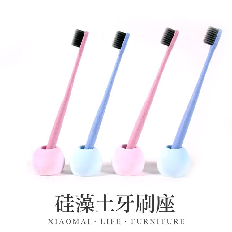 硅藻土牙刷座【Y502】_1