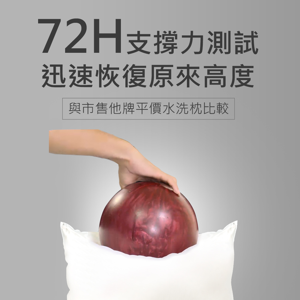 3M 新一代防蟎水洗枕-標準型_5