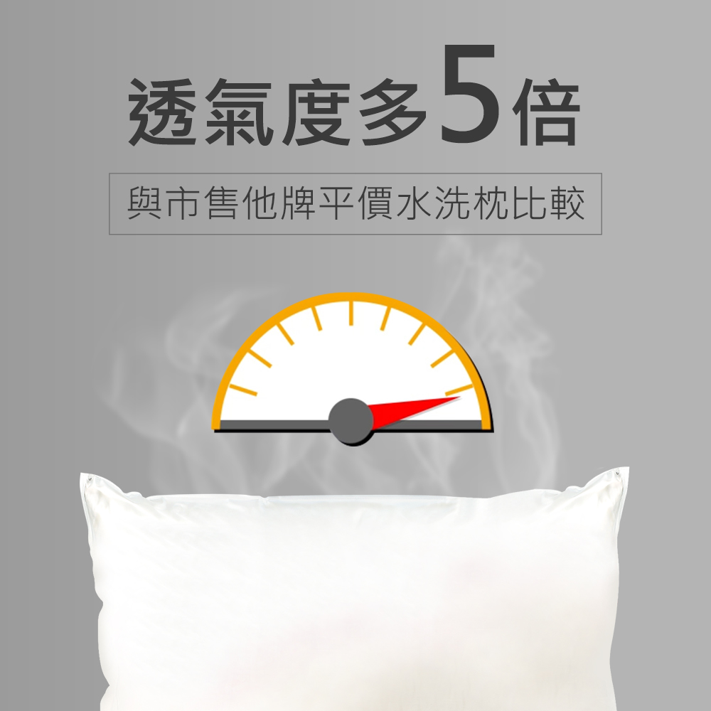 3M 新一代防蟎水洗枕-標準型_6