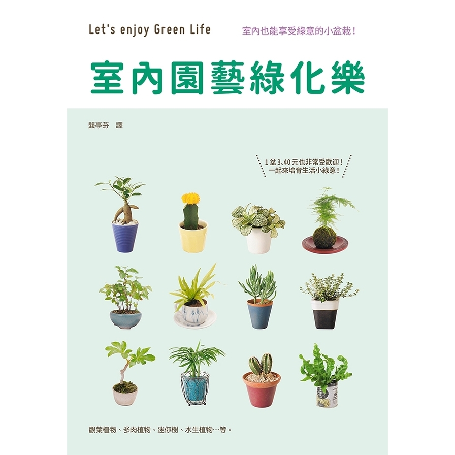 室內園藝綠化樂(五大類型室內植栽的管理小百科) | 拾書所