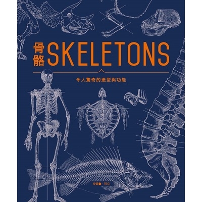 骨骼SKELETONS(令人驚奇的造型與功能) | 拾書所