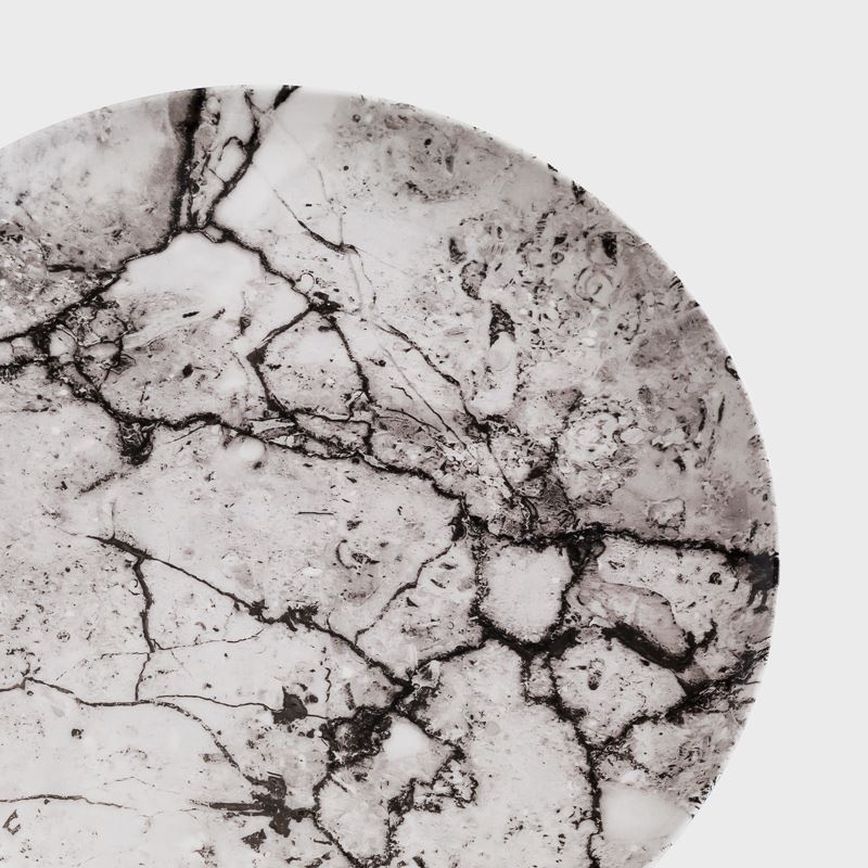 WAGA Earth Whisper Silver Branches Plate 25.5cm_3