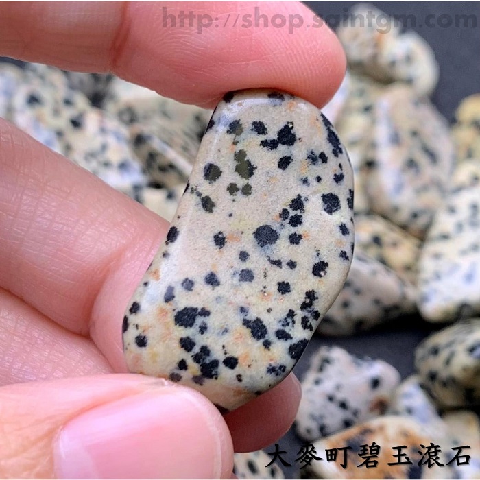大麥町碧玉滾石(Dalmatian Jasper) ~動物療癒守護石_2