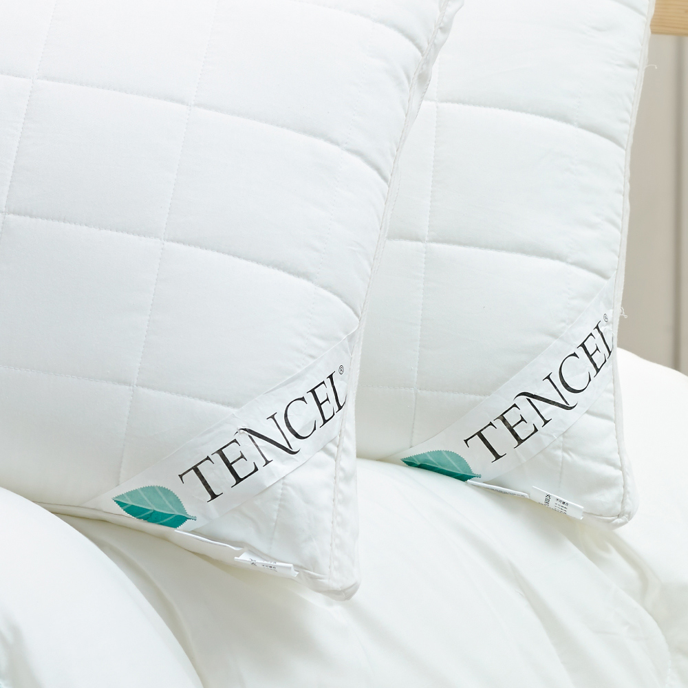 買一送一 【GLORY】TENCEL舒眠親膚抗敏天絲枕_2