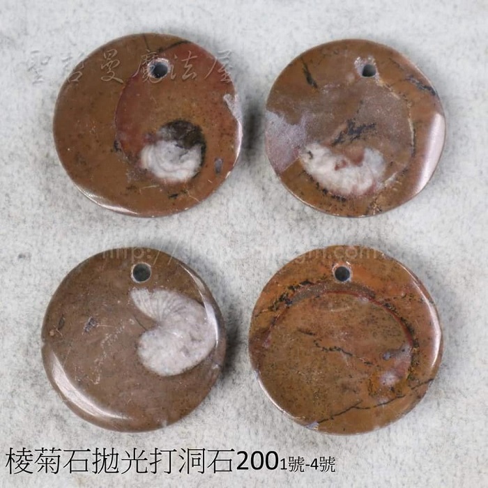 棱菊石拋光打洞裸石~吸收負能量的海底輪紮根療癒石_1