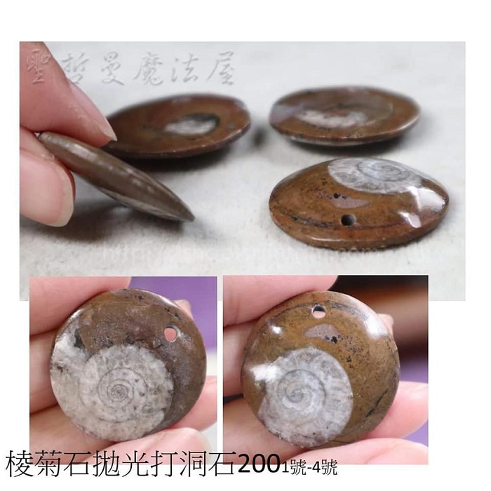 棱菊石拋光打洞裸石~吸收負能量的海底輪紮根療癒石_2