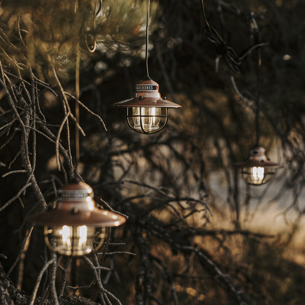 BAREBONES Edison String Lights収納ケース付き Barebones Edison Pendant String Lights - Antique Bronze, 3