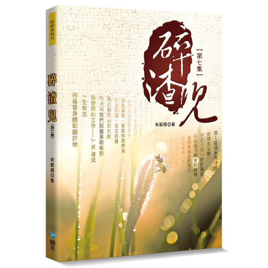 碎渣兒(第七集) | 拾書所