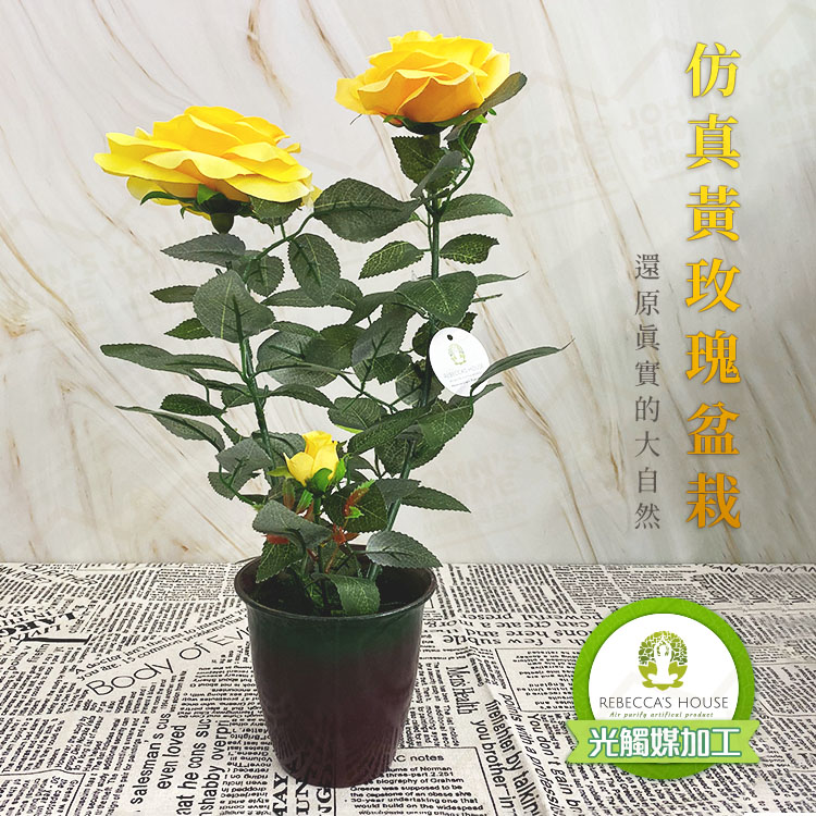 仿真黃玫瑰盆栽 光觸媒加工 不易沾塵 假花 假樹 人造花 不凋花 仿真植物 居家裝飾【HB0201】《約翰家庭百貨_2